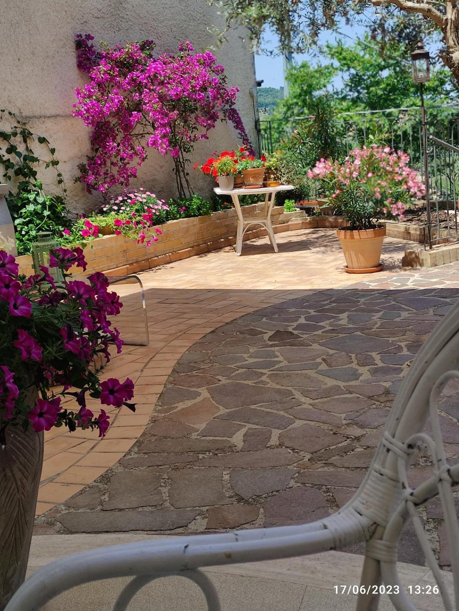 B&B Palazzo Mestichelli Boutique Palace Monteprandone Eksteriør bilde